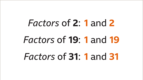 Factors of two: one and two. Factors of nineteen: one and nineteen. Factors of thirty-one: one and thirty-one.