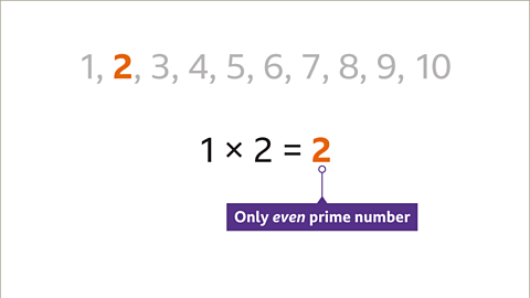 Two is highlighted. Below: One multiplied by two equals two – highlighted and labelled ‘only even prime number’.