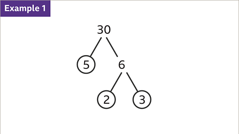 Example 1: A factor tree for 30. This is a diagram of numbers branching from thirty. Thirty going to six and a circled five. Six going to two and three – both circled. 