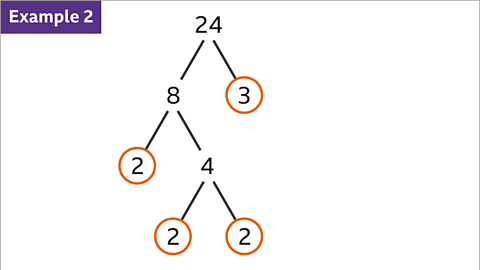 Example 2: A factor tree for twenty-four. This is a diagram of numbers branching from twenty-four. Twenty-four going to eight and a circled three. Eight going to a circled two and to four. Four going to two and two – both circled. 