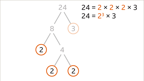 Twenty-four equals two cubed (highlighted) multiplied by three. 