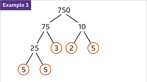 Example 3: A factor tree for seven hundred and fifty. This is a diagram of numbers branching from seven-hundred and fifty. Seven-hundred and fifty going to seventy-five and ten. Seventy-five going to twenty-five and a circled three. Twenty-five going to five and five – both circled. Ten going to two and five – both circled. 