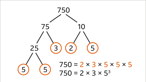 Same diagram. Below it: Seven-hundred and fifty equals two multiplied by three multiplied by five multiplied by five multiplied by five. Seven-hundred and fifty equals two multiplied by three multiplied by five cubed. 