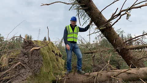 Costing the Earth, Costing the Earth, Timber!