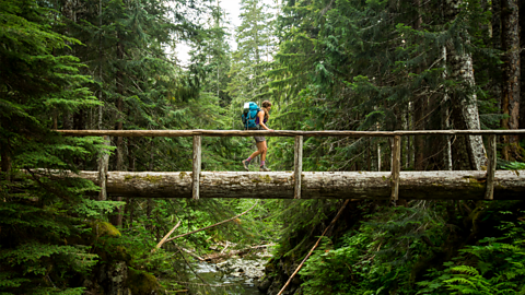 A photo of a person with a backpack walking across a wooden bridge in a forest.