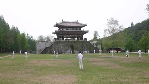 Sporting Witness, Sporting Witness, Cricket in North Korea