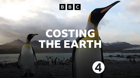 Costing the Earth, Costing the Earth, Acoustic Ecology