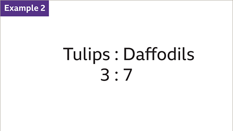 Example 2: Tulips to daffodils. Three to seven.