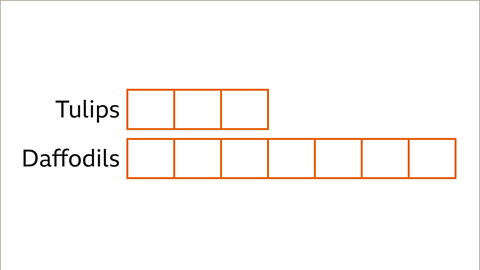 A diagram showing two bars each highlighted orange. The first is split into three blocks and labelled tulips. The second is split into seven blocks and labelled daffodils.