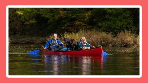 People paddling in a kayak