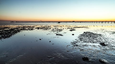 Estuaries can also be found where the river meets the sea.