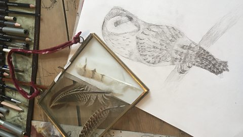 Benji has drawn a barn own perched on a branch in pencil and has framed a few barn owl feathers he has found, which lie next to the drawing.