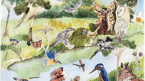 A country riverside seen with paintings of different British species including a kingfisher, red deer, red fox and tortoiseshell butterfly.