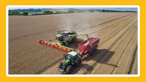 Combine harvester harvesting.