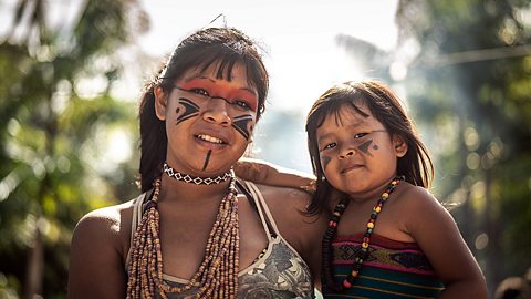 We do not know how many people live within the world’s rainforest. Some areas of rainforest are vast with indigenous tribes who have never had contact with the outside world.