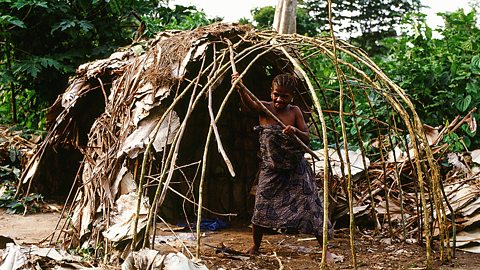 The Mbuti belong to a wider group of people known as Pygmies. They live in the Ituri Rainforest in the north of the Democratic Republic of the Congo. Pygmies are renowned as being very short; their average height is only around 4 feet 6 inches.