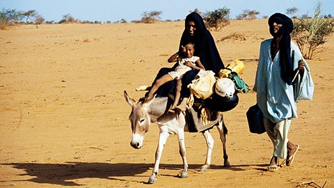 Desertification affects the Sahel in Africa. This is a semi-arid region to the south of the Sahara desert. Land across the Sahel is turning into desert. 