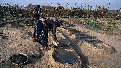 In addition to pressure from people, climate change is increasing the temperature of the Sahel and making the rainfall less reliable. On average, the Sahel has experienced lower yearly rainfall since the 1970s. 