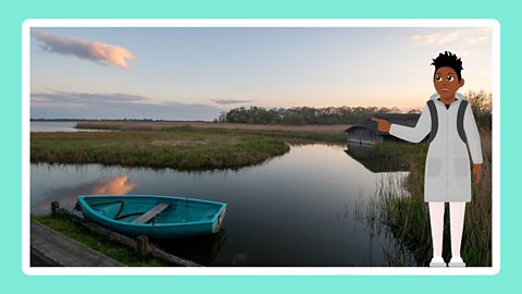 The Broads National Park.