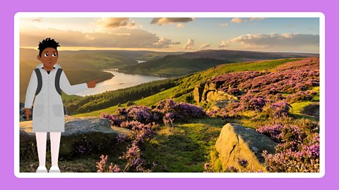 Bamford Edge in the Peak District