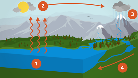 An illustration of water evaporating from a lake, then moving as cloud across the sky, falling as rain then flowing downhill into a river and lake