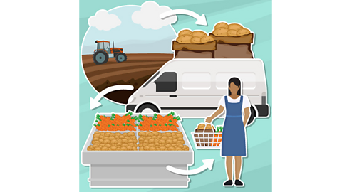 A diagram showing potatoes and carrots being transported from the farm to the supermarket.