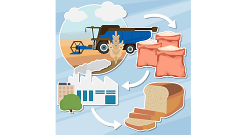 A diagram showing wheat being harvested from a field, then processed at a factory to make flour, then bread.