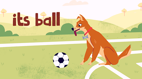 A dog plays with its football. Text reads 'its ball'