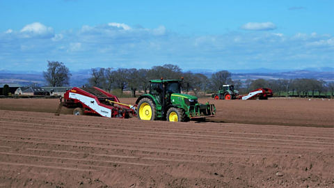 Two tractors and ploughs  