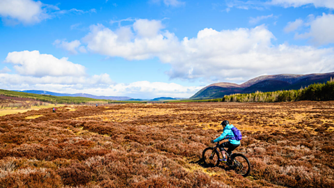 A cyclist cycling in Glen Feshie