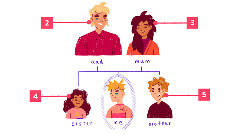 A family tree showing a child, their sister, brother, mum and dad.