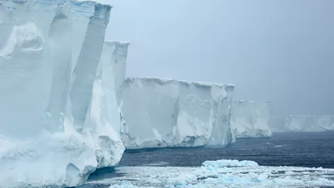 Sporting Witness, Sporting Witness, Diving into the world's largest iceberg