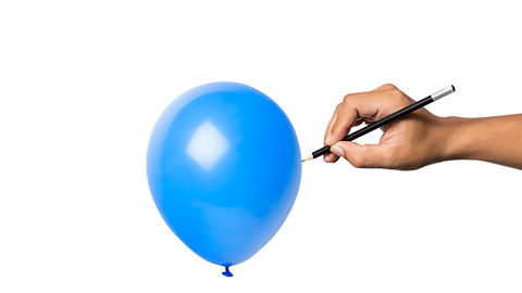 An image of a the sharp end of a pencil into the side of an inflated balloon.