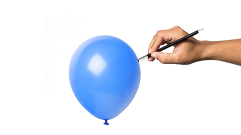 An image of a hand pushing the blunt end of a pencil into the side of an inflated balloon.