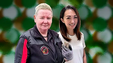 The Conversation, The Conversation, Rat catchers: Women in pest control