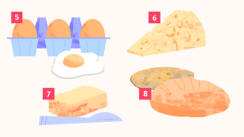 Eggs, cheese, butter and bread, labelled 5 - 8