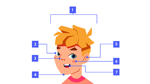 Parts of the face: head, eye, nose, chin, ear, cheek, mouth