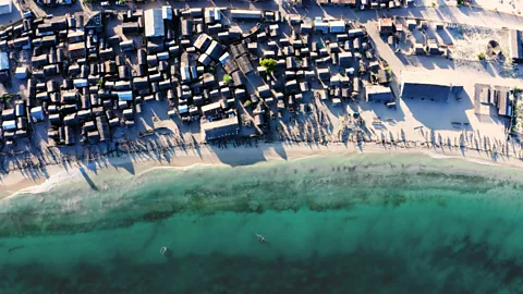 Octopus gardens from above