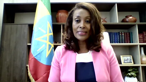 The Interview, The Interview, Meaza Ashenafi: What are the prospects for peace in Ethiopia?
