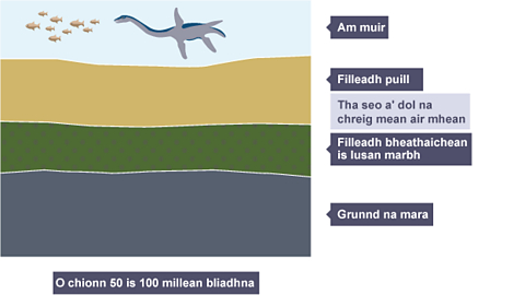 Dealbh 2: Thèid fuigheall chreutairean mara agus lusan an glacadh fo fhillidhean de pholl agus de chreagan