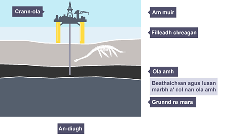 Thar nam milleanan bhliadhnaichean, thèid fuigheall nan lusan agus nan creutairean mara nan ola agus nan gas a ghabhas an cladhach