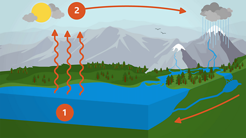 An illustration of water evaporating from a lake, then moving as cloud across the sky