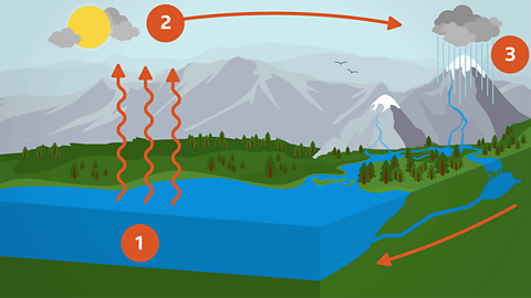 An illustration of water evaporating from a lake, then moving as cloud across the sky, before falling as rain.