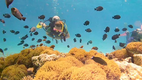 Coral reefs maldives