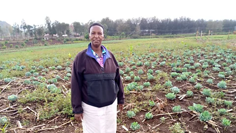 Business Daily, Business Daily, How Kenyan farmers are adapting to climate change