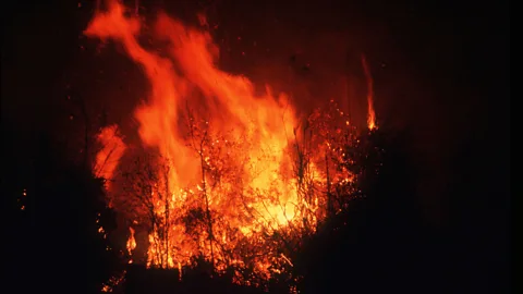 Witness History, Witness History, Indonesia's forest fires