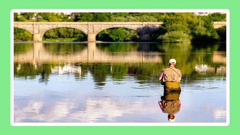 Man fly fishing on the River Tweed.