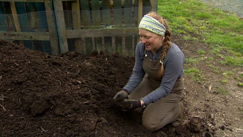 How to Use Compost in Your Garden