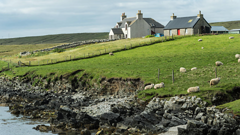 Croft cottages in the background and grazing sheep in the foreground