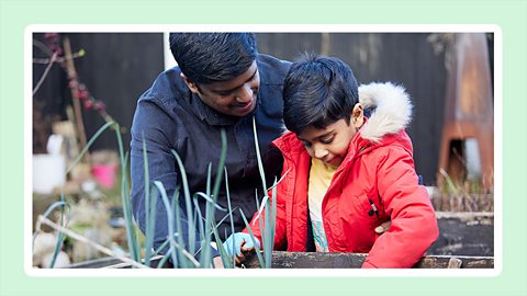 Image of a young boy and his father in their garden planting seeds into a raised flowerbed, with a light green border around the picture.